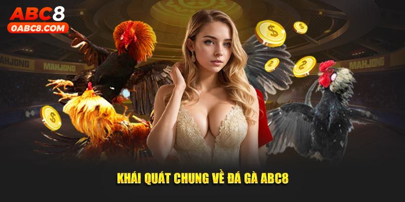 Khái quát chung về đá gà ABC8